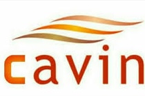 Cavin